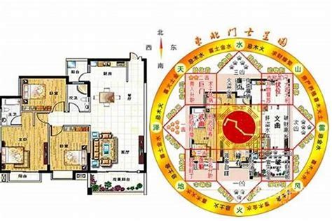 风水螺功效|风水螺，居家风水中的神秘存在，作用及摆放指南